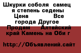 Шкурки соболя (самец) 1-я степень седены › Цена ­ 12 000 - Все города Другое » Продам   . Алтайский край,Камень-на-Оби г.